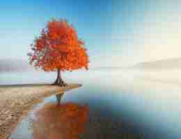 谷‌歌‌ 项‌目‍